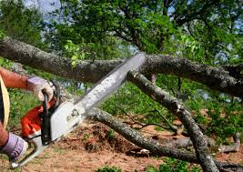 Best Lot and Land Clearing  in Crowley, LA